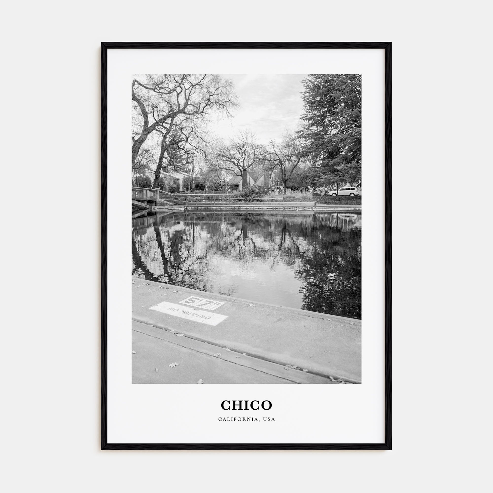 Chico Portrait B&W Poster
