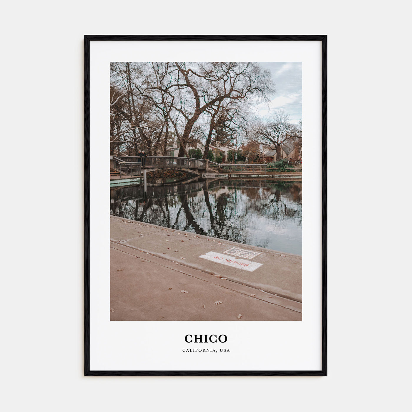 Chico Portrait Color Poster
