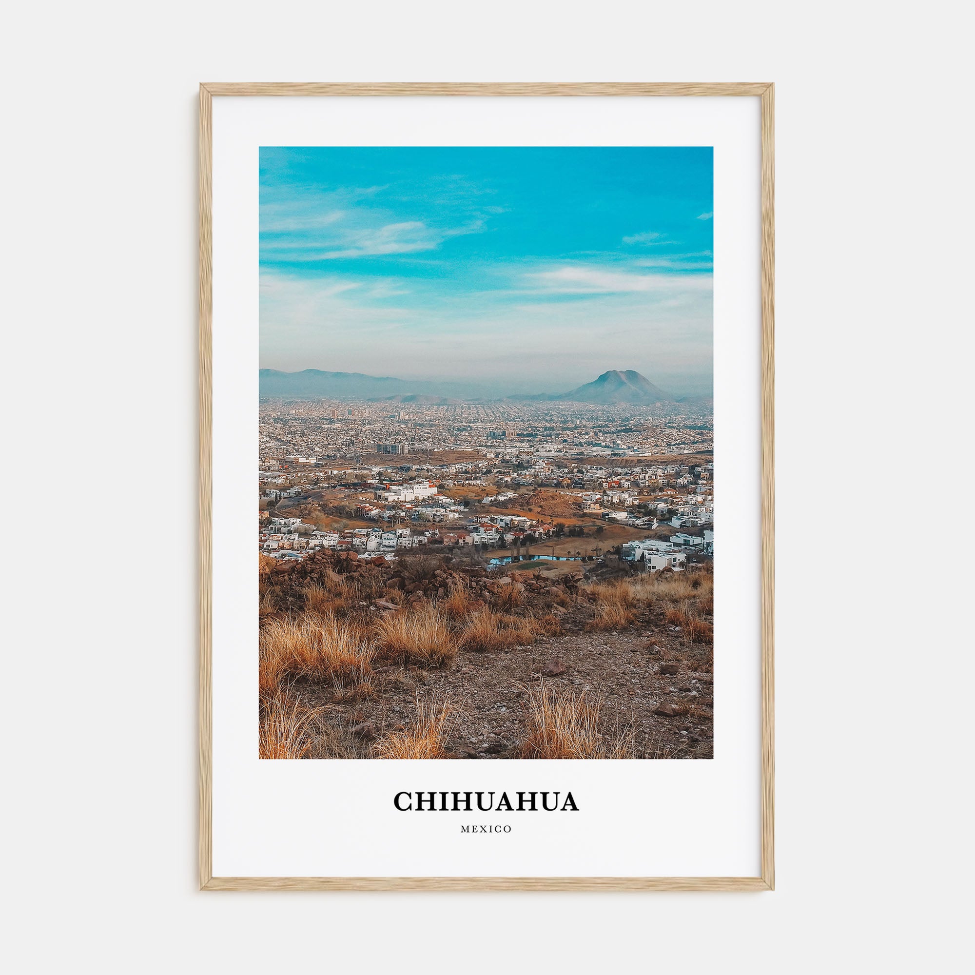 Chihuahua Portrait Color Poster