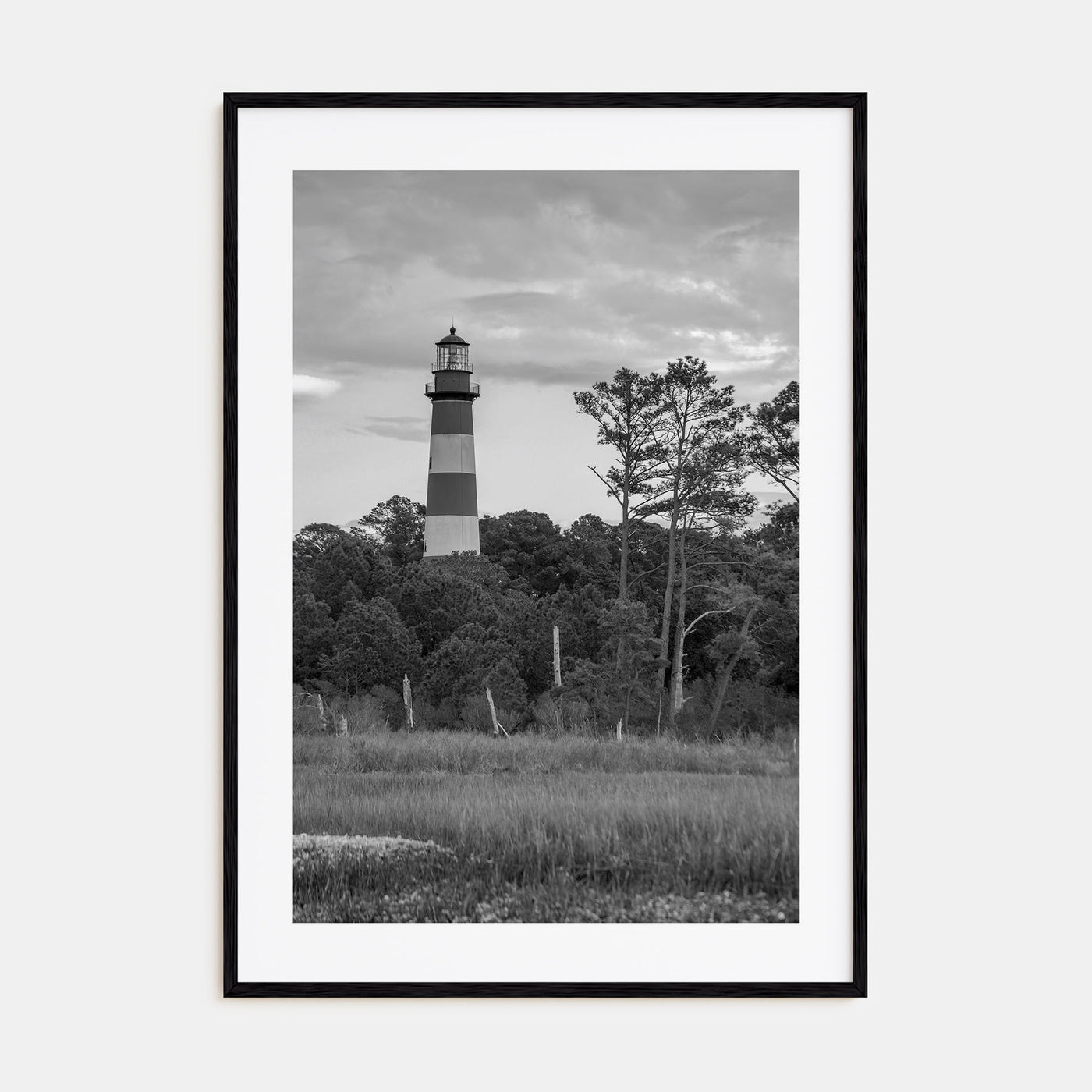 Chincoteague Photo B&W Poster