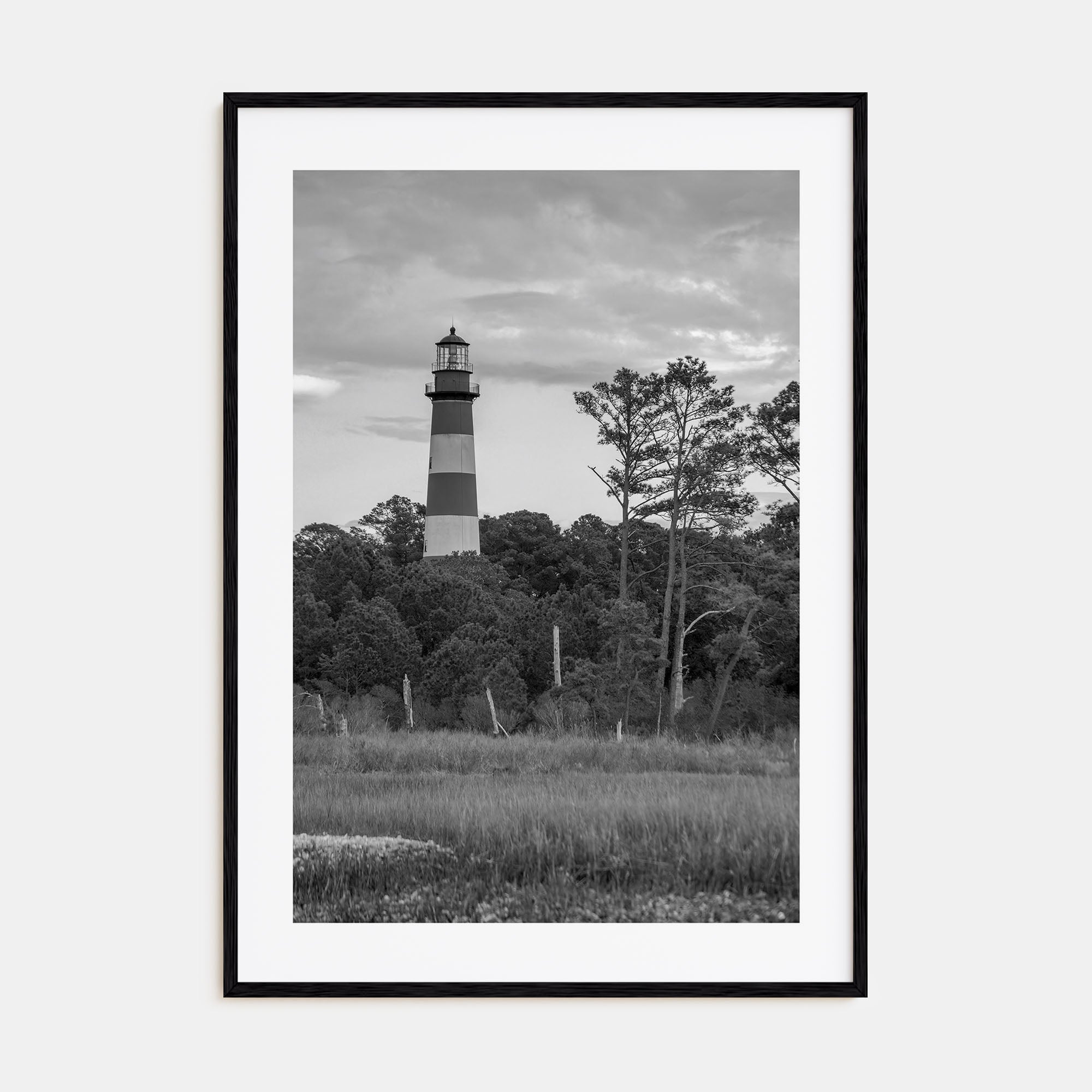 Chincoteague Photo B&W Poster