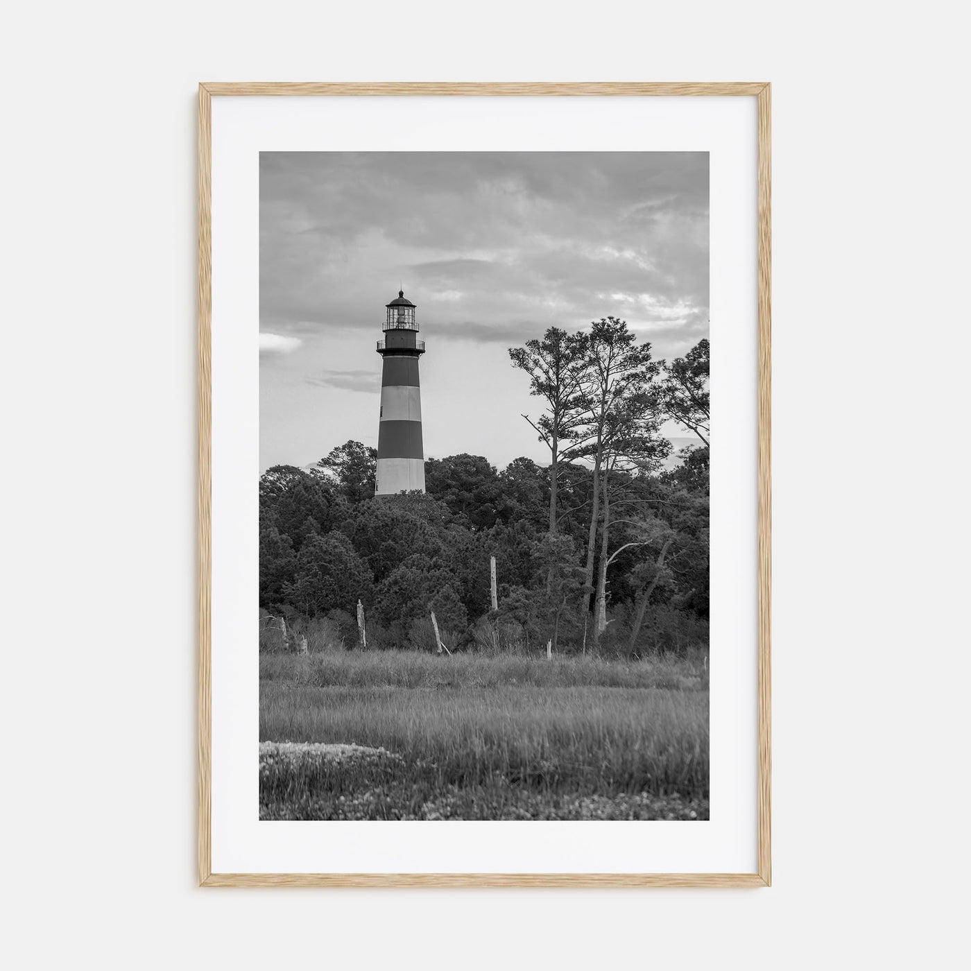 Chincoteague Photo B&W Poster