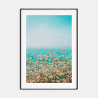 Clear Sky Yellow Flowers Photo Color Poster