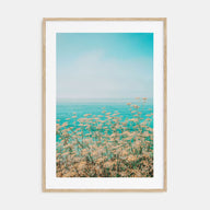 Clear Sky Yellow Flowers Photo Color Poster