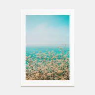 Clear Sky Yellow Flowers Photo Color Poster