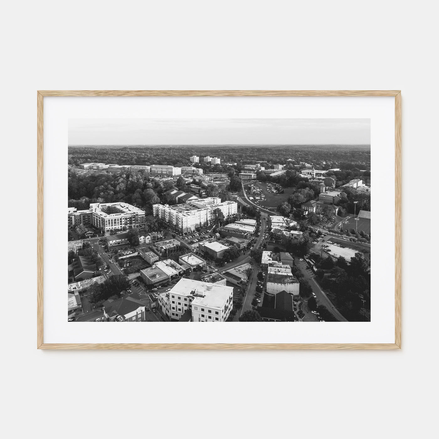 Clemson Landscape B&W Poster