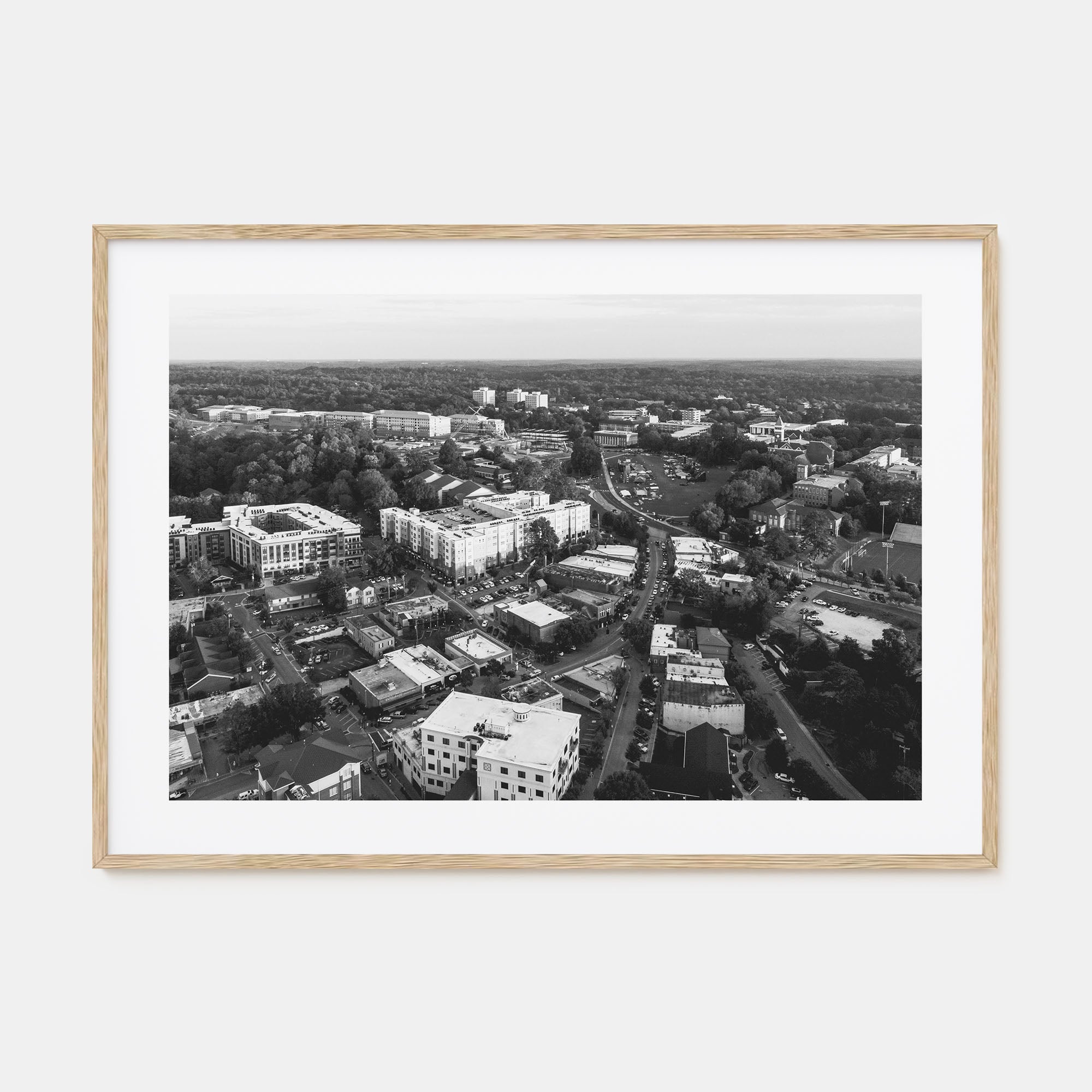 Clemson Landscape B&W Poster