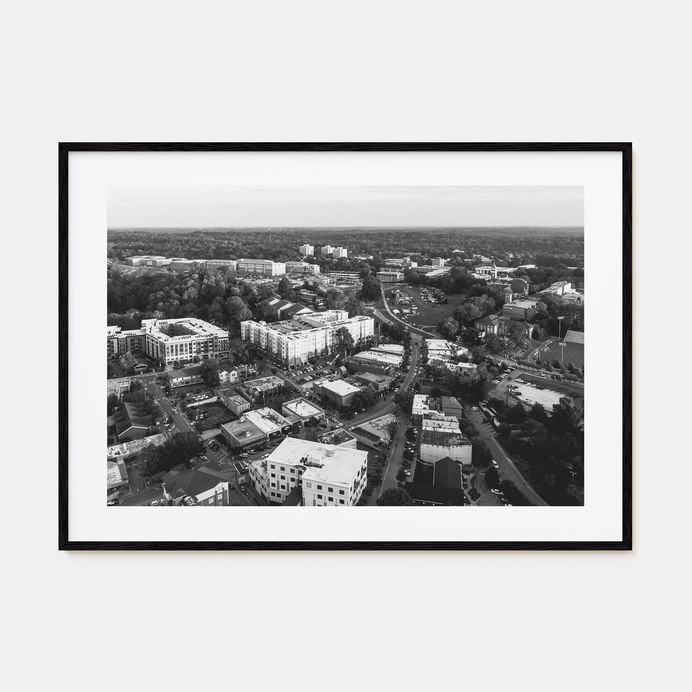 Clemson Landscape B&W Poster