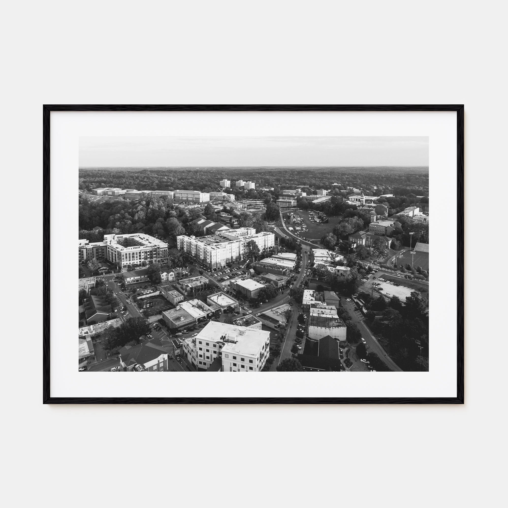 Clemson Landscape B&W Poster