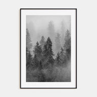Cloudy Forest Photo B&W No 1 Poster