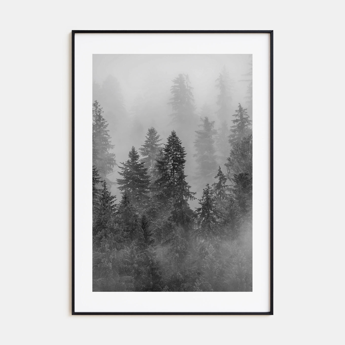 Cloudy Forest Photo B&W No 1 Poster