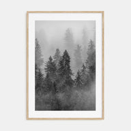 Cloudy Forest Photo B&W No 1 Poster