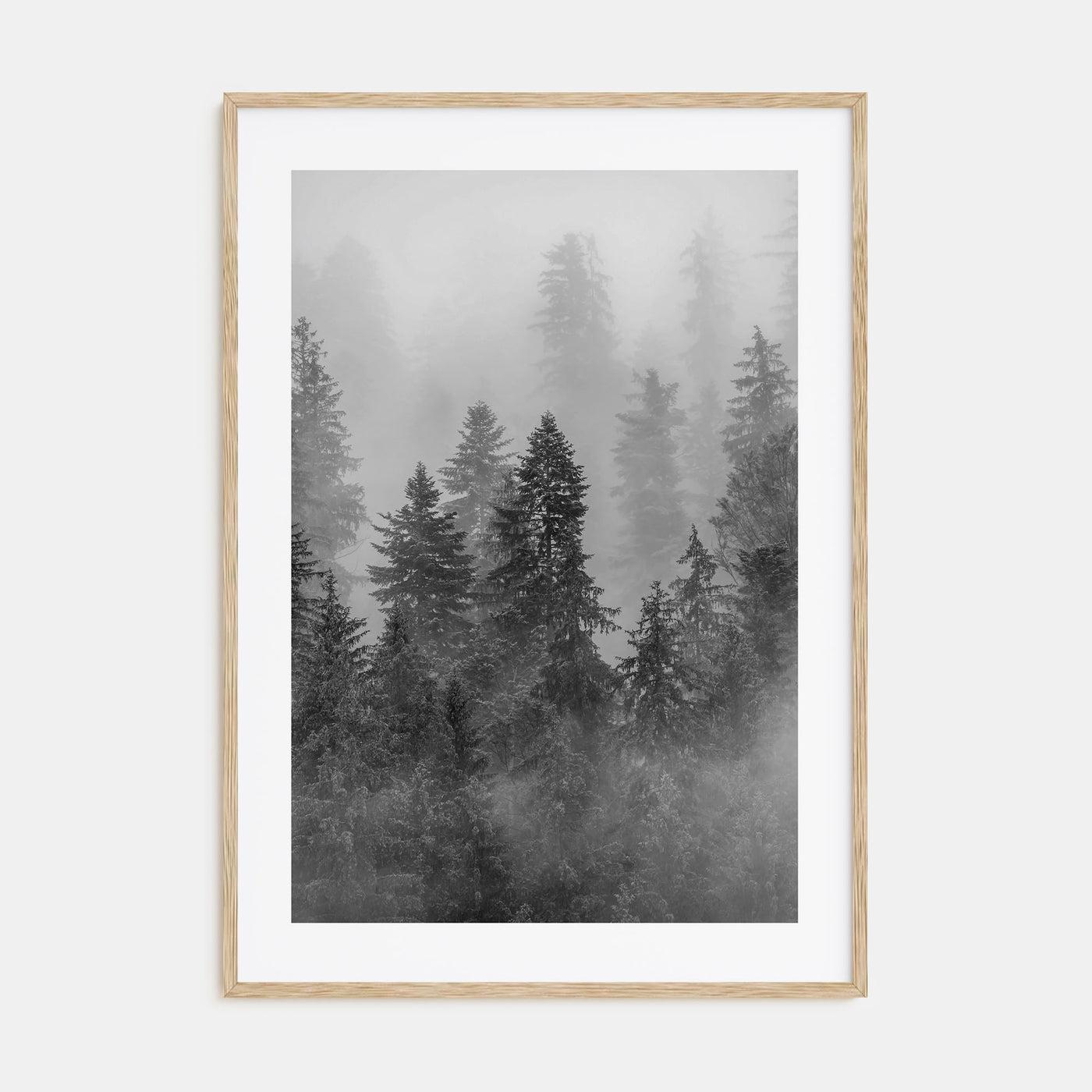 Cloudy Forest Photo B&W No 1 Poster