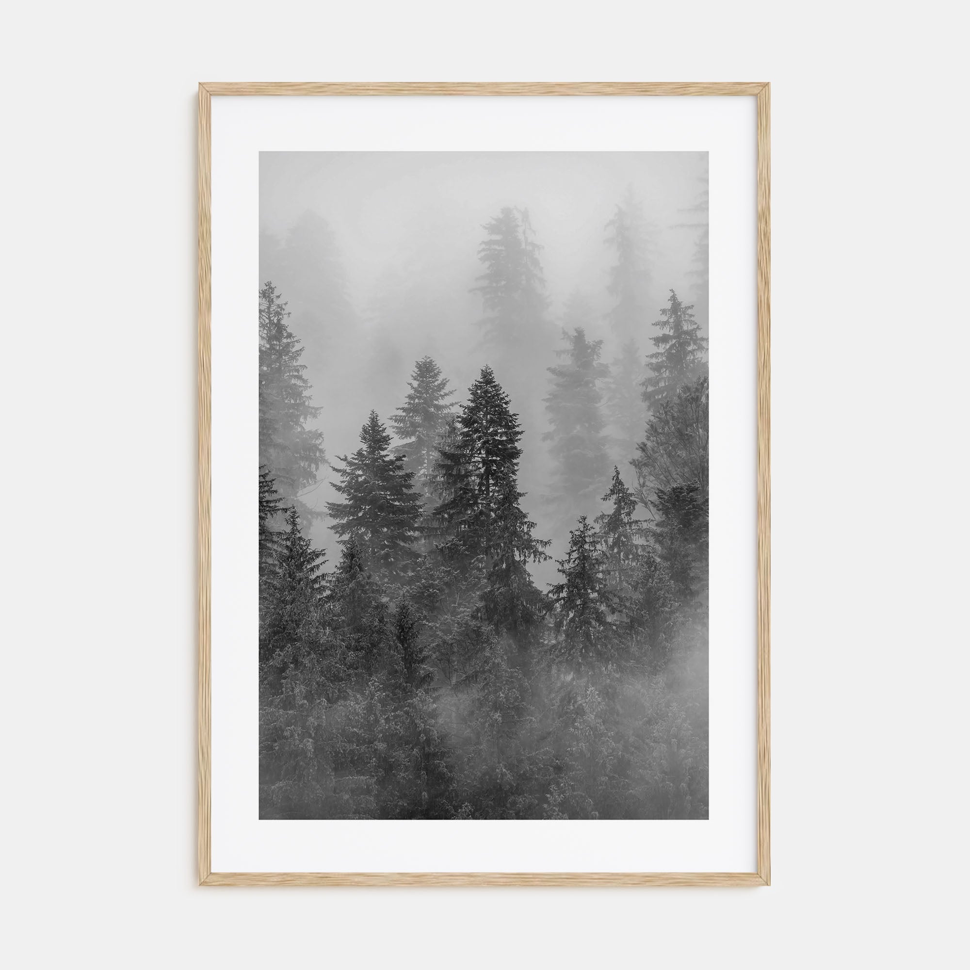 Cloudy Forest Photo B&W No 1 Poster