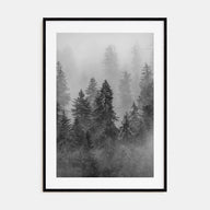 Cloudy Forest Photo B&W No 1 Poster