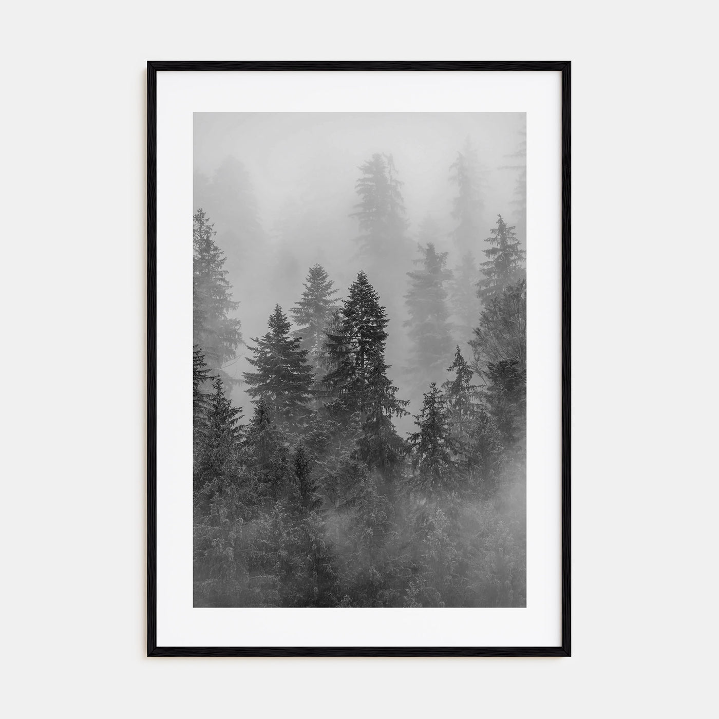 Cloudy Forest Photo B&W No 1 Poster