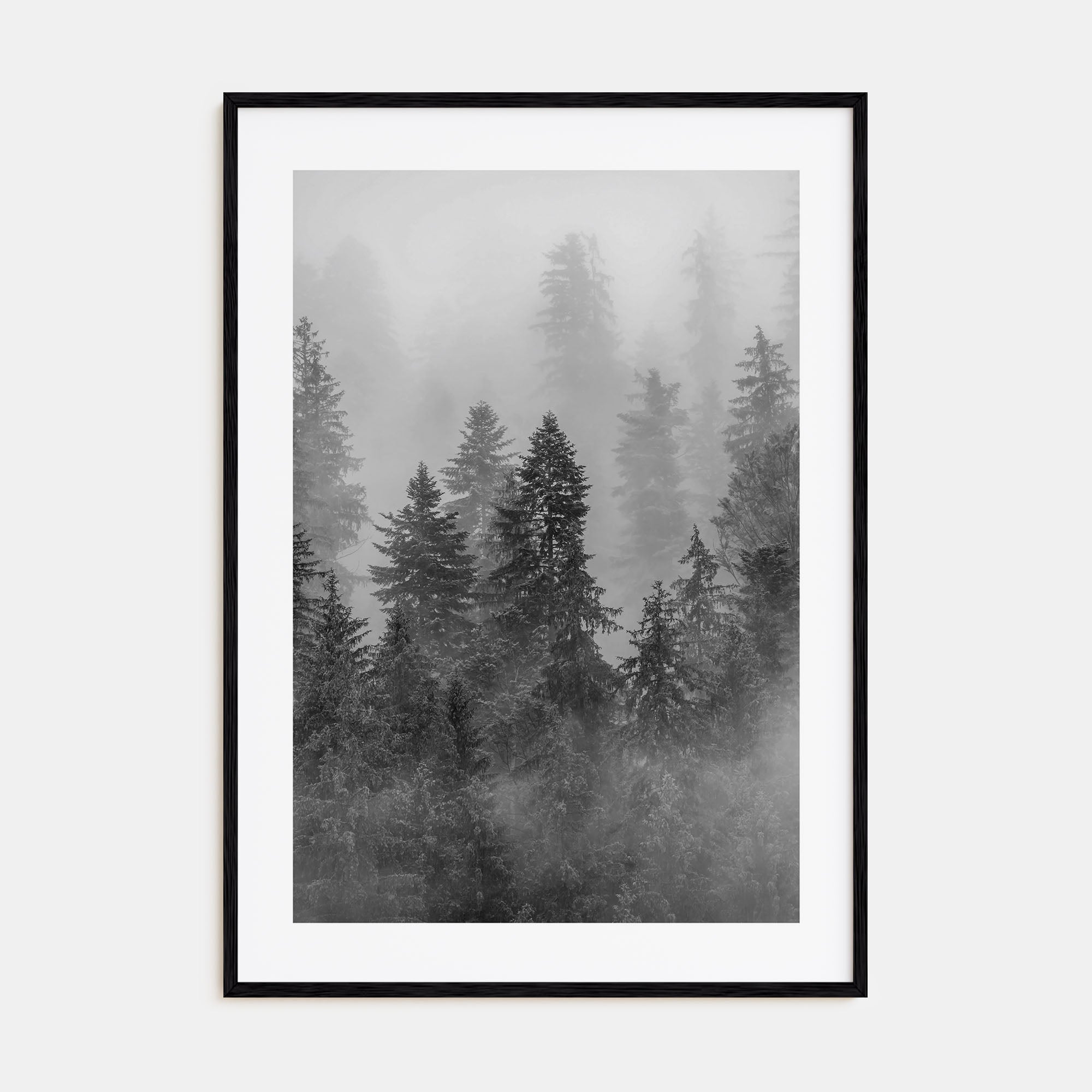 Cloudy Forest Photo B&W No 1 Poster