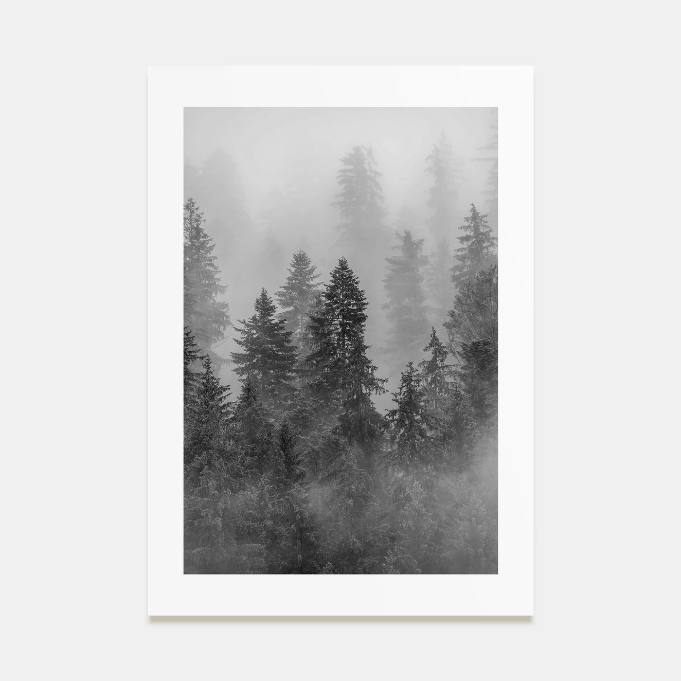 Cloudy Forest Photo B&W No 1 Poster