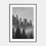 Cloudy Forest Photo B&W No 2 Poster
