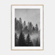 Cloudy Forest Photo B&W No 2 Poster