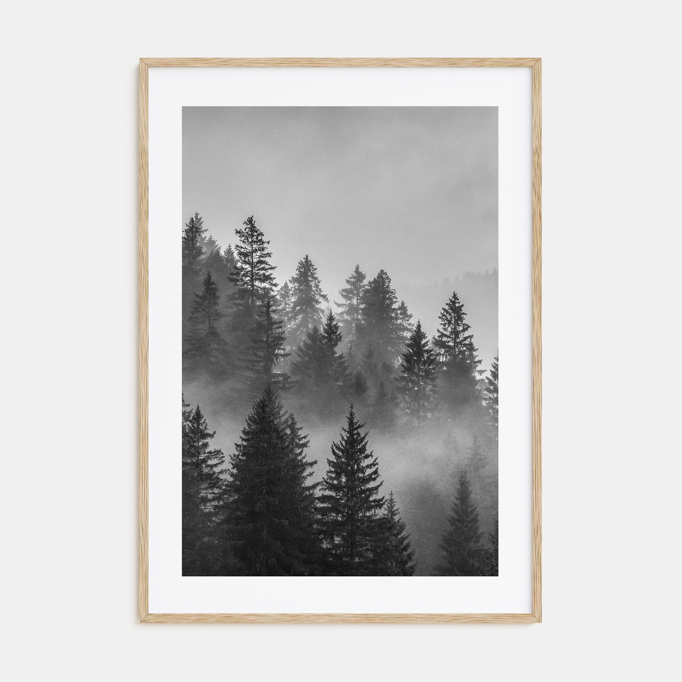 Cloudy Forest Photo B&W No 2 Poster