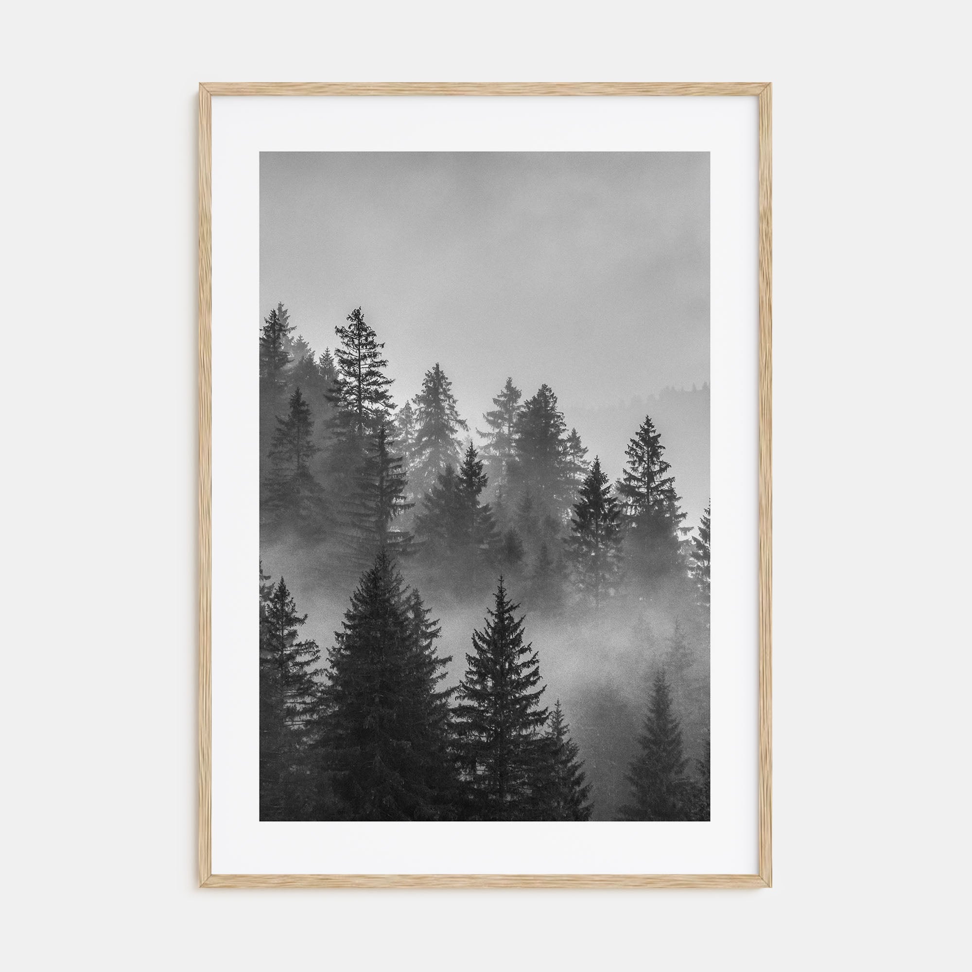Cloudy Forest Photo B&W No 2 Poster