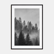 Cloudy Forest Photo B&W No 2 Poster