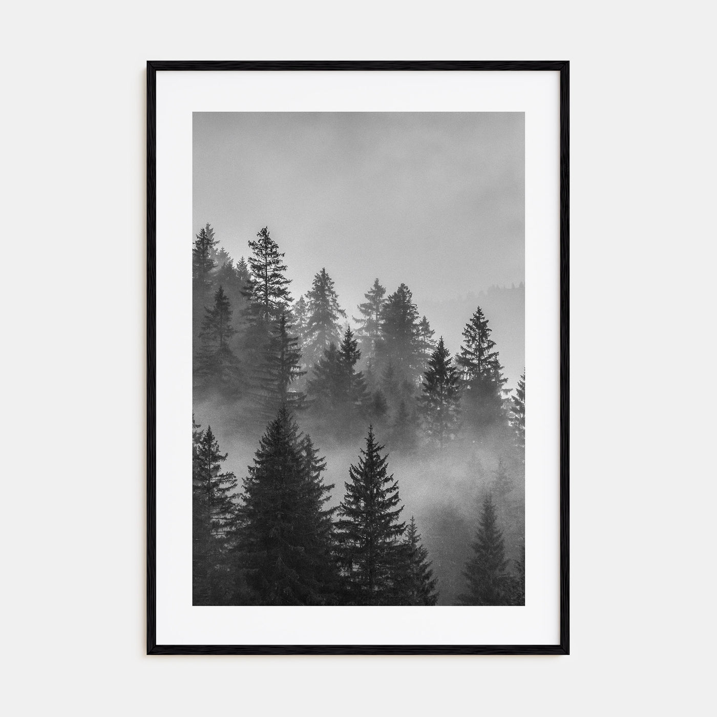 Cloudy Forest Photo B&W No 2 Poster