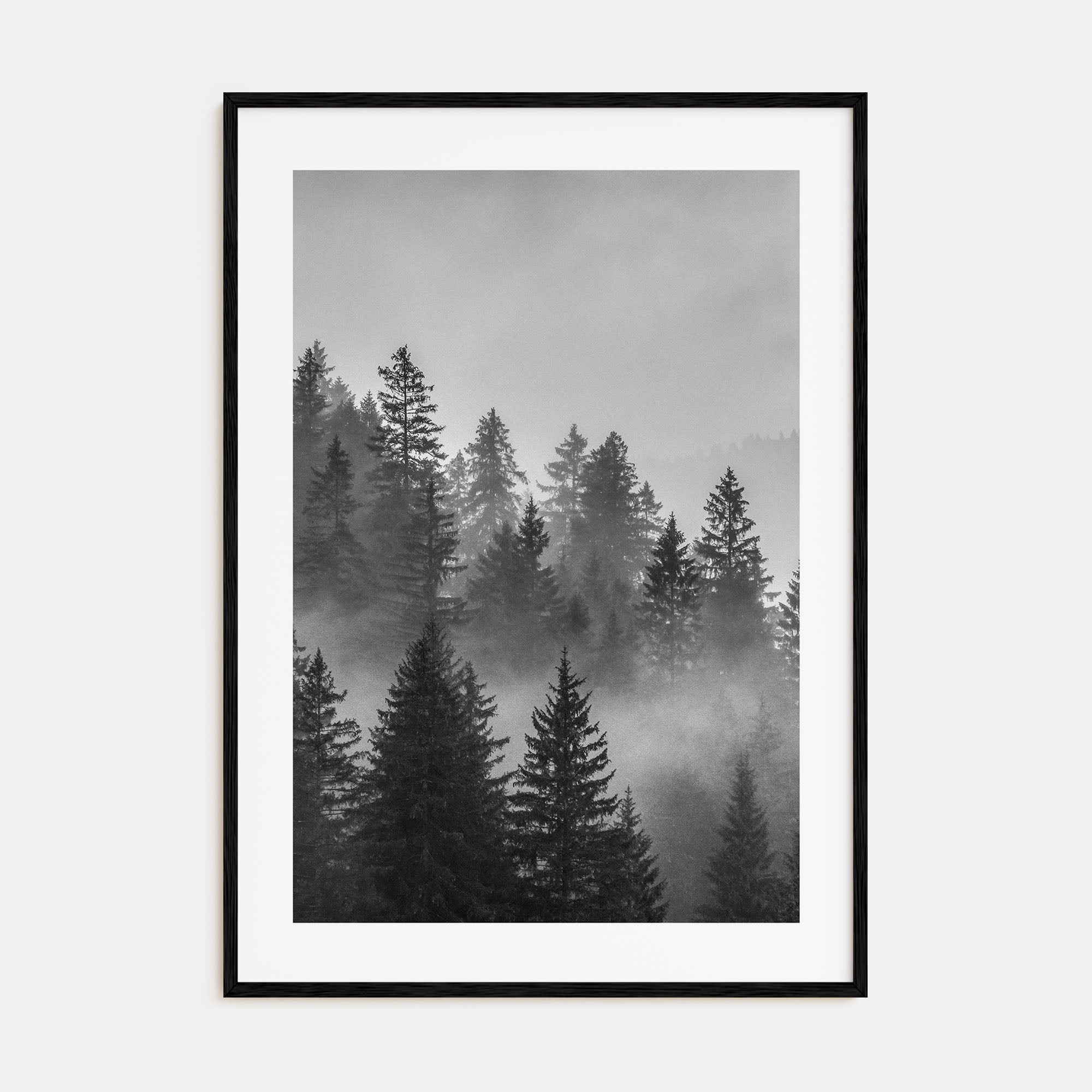 Cloudy Forest Photo B&W No 2 Poster