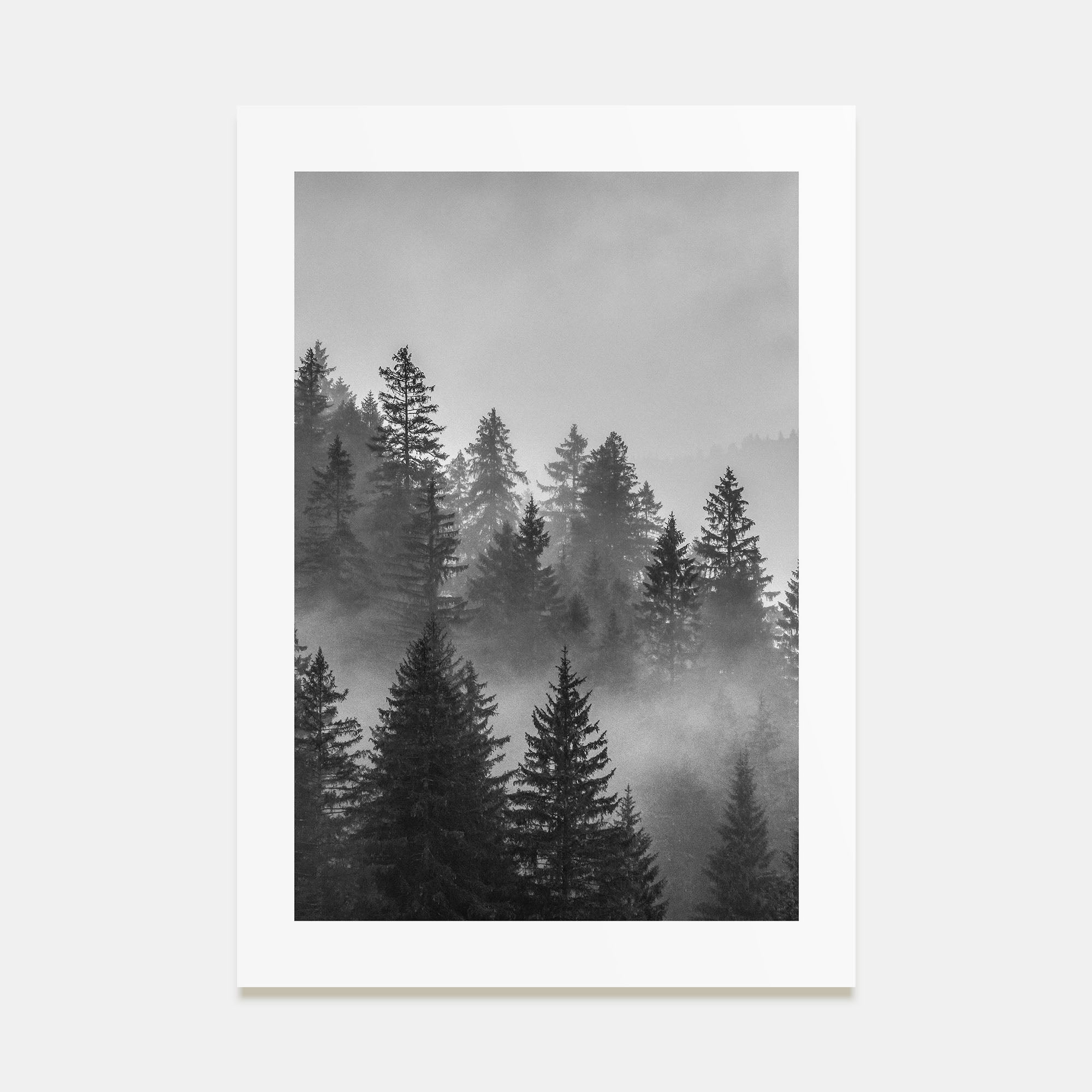 Cloudy Forest Photo B&W No 2 Poster