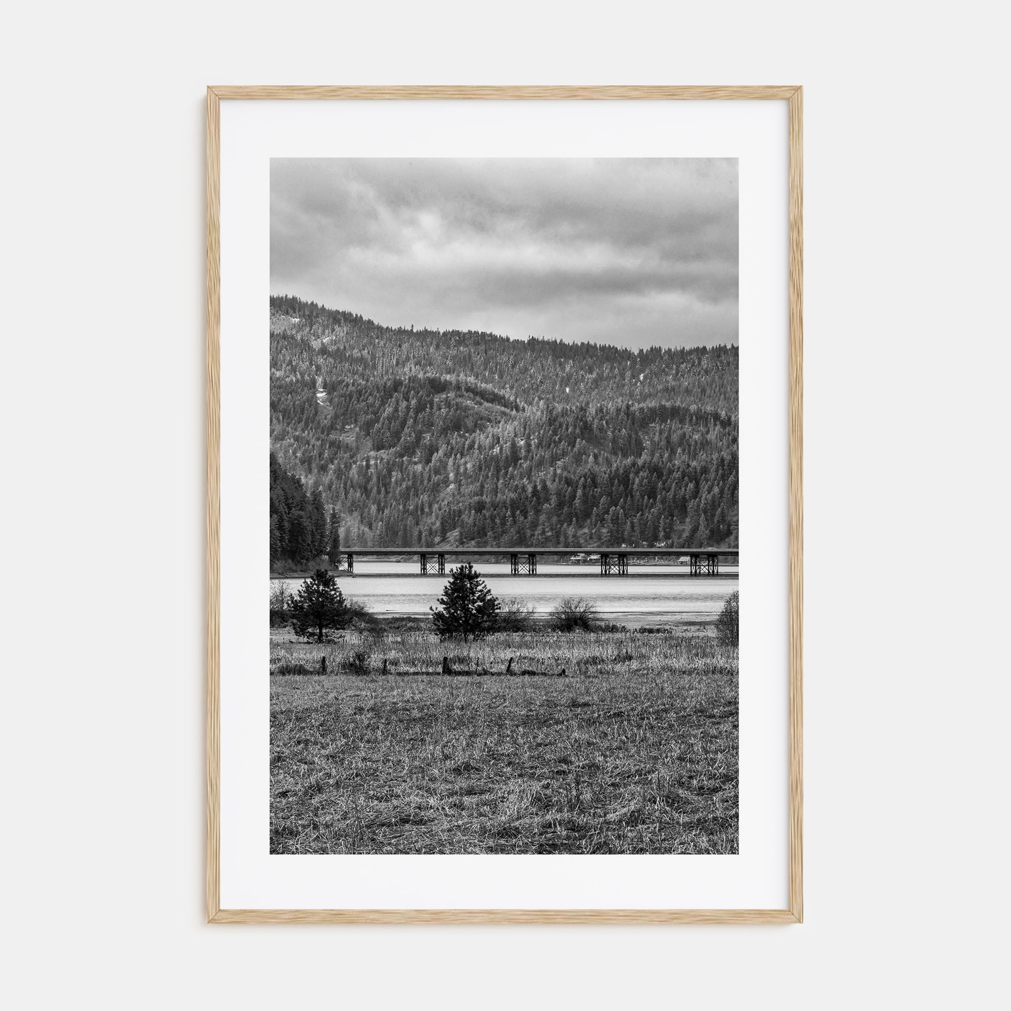 Coeur d'Alene Photo B&W Poster