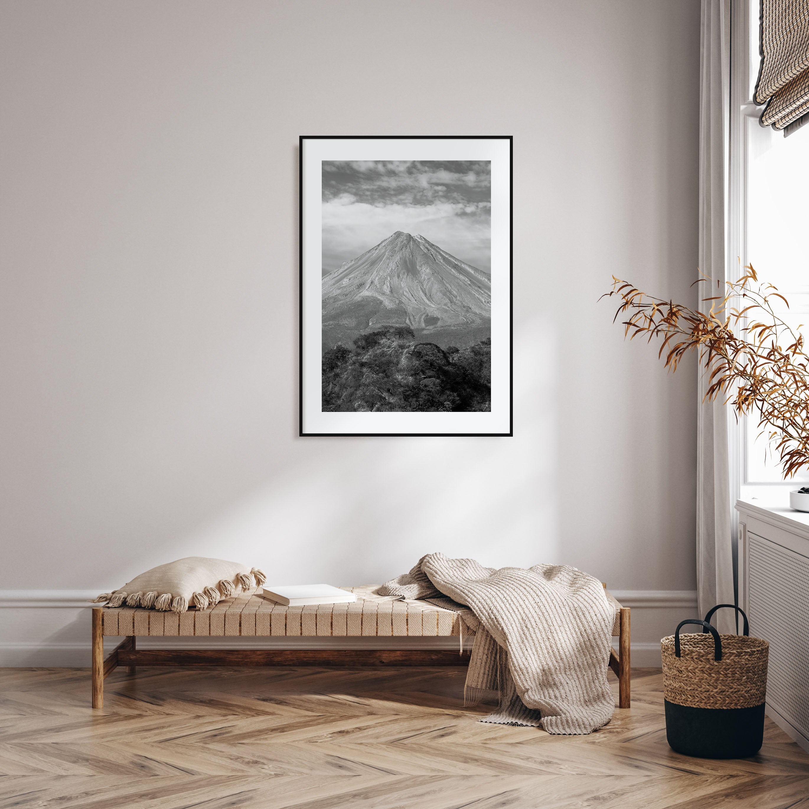 Colima Photo B&W Poster