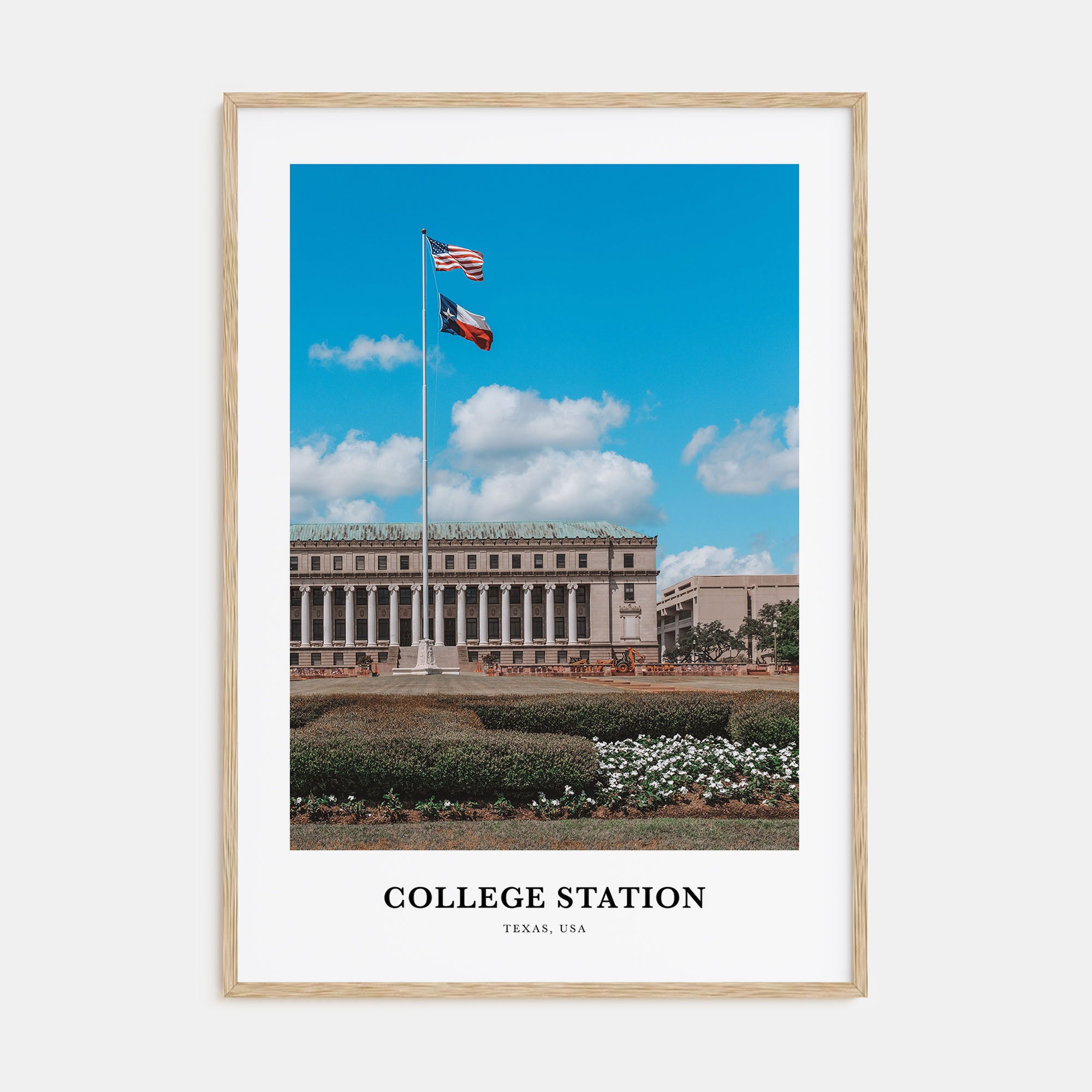 College Station Portrait Color Poster