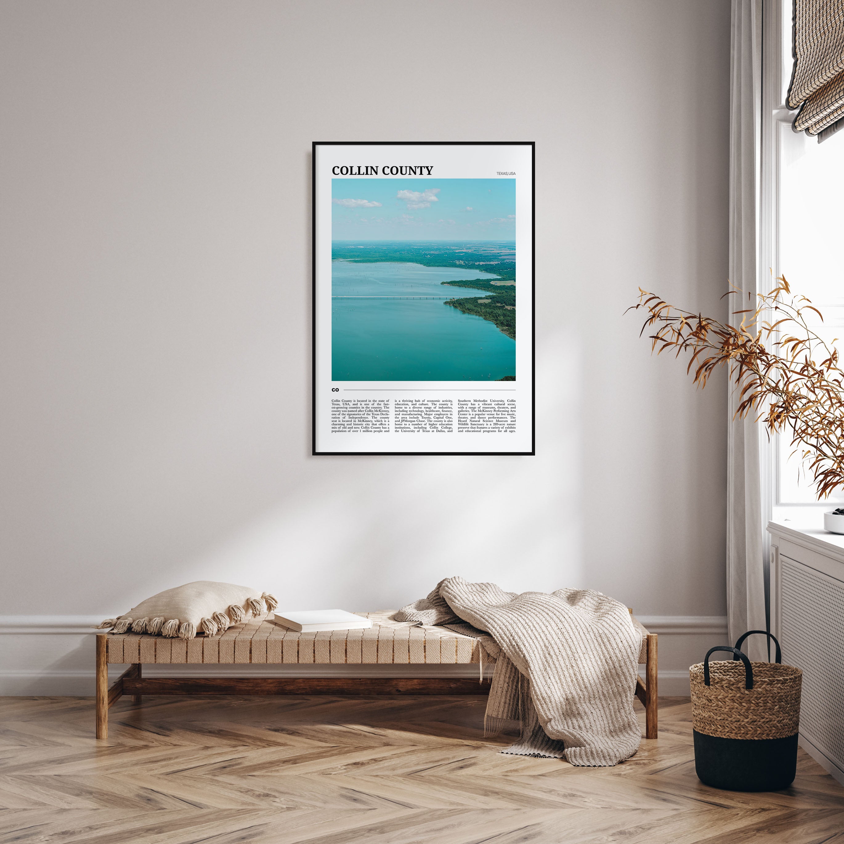 Collin County Travel Color Poster