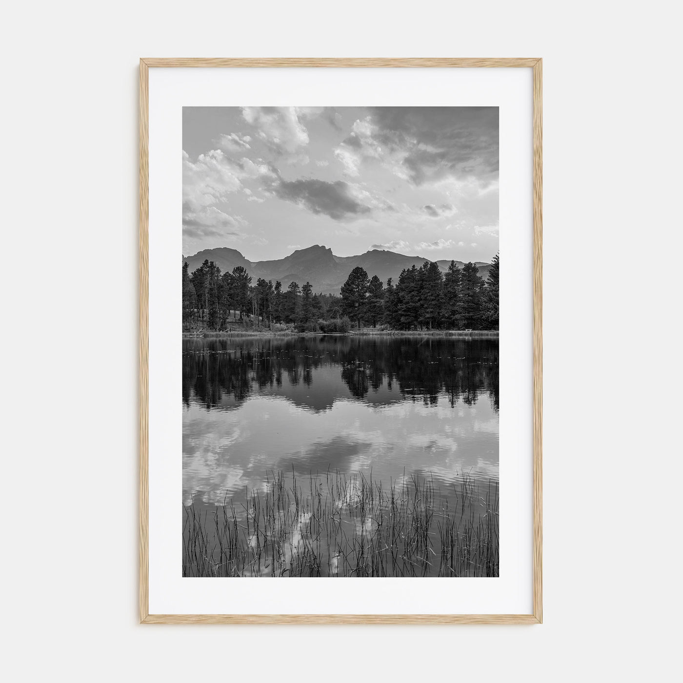 Colorado Photo B&W No 3 Poster