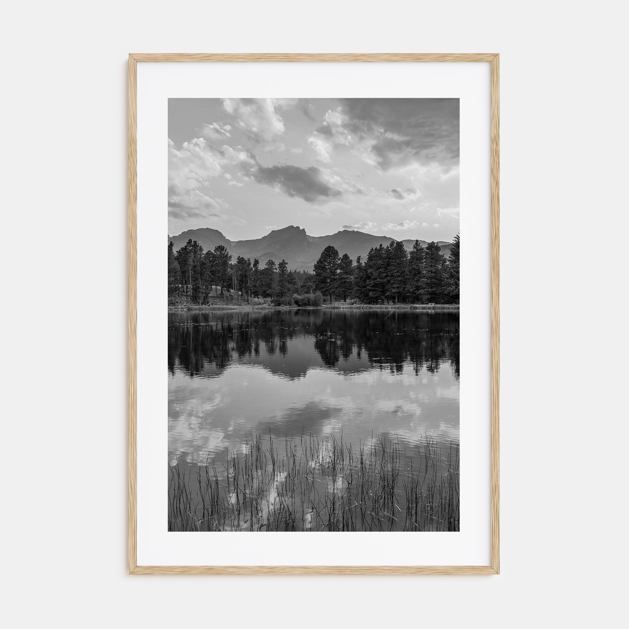 Colorado Photo B&W No 3 Poster