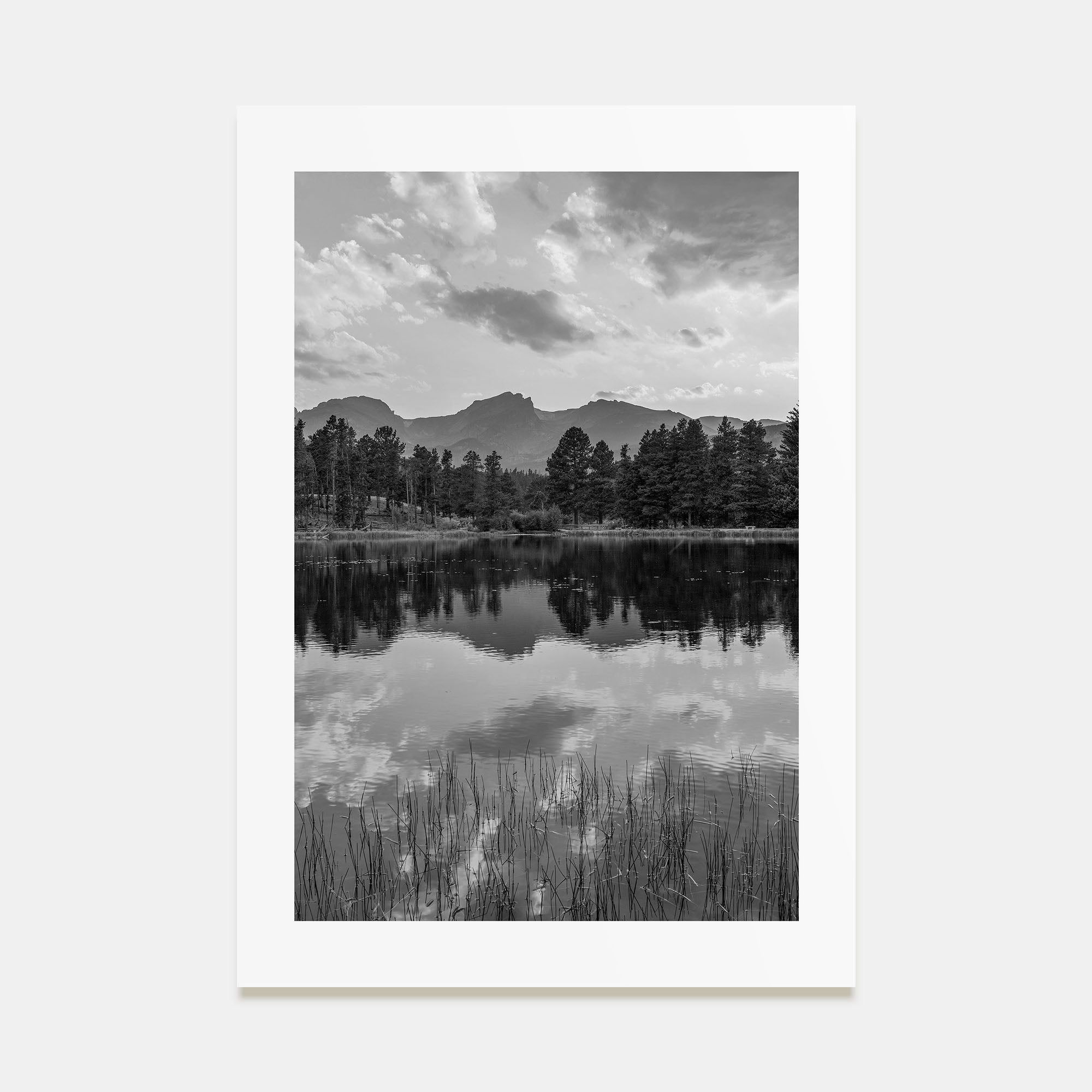 Colorado Photo B&W No 3 Poster