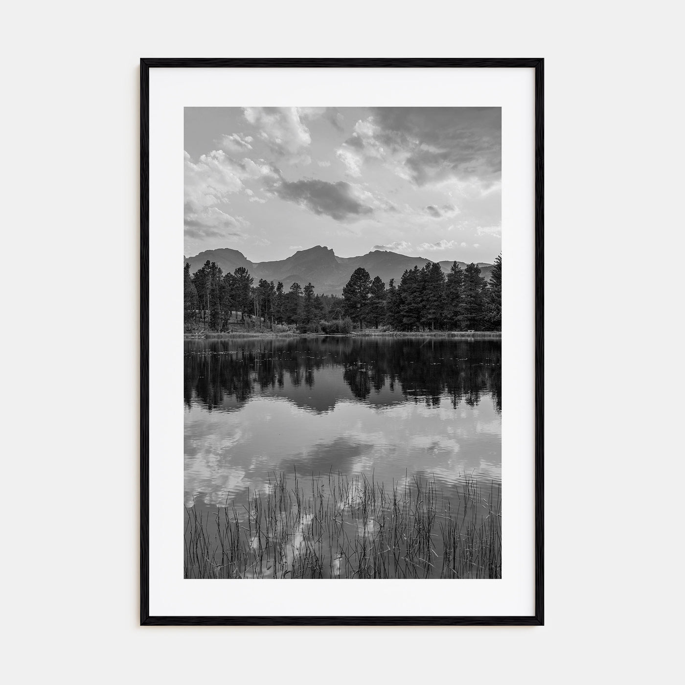 Colorado Photo B&W No 3 Poster