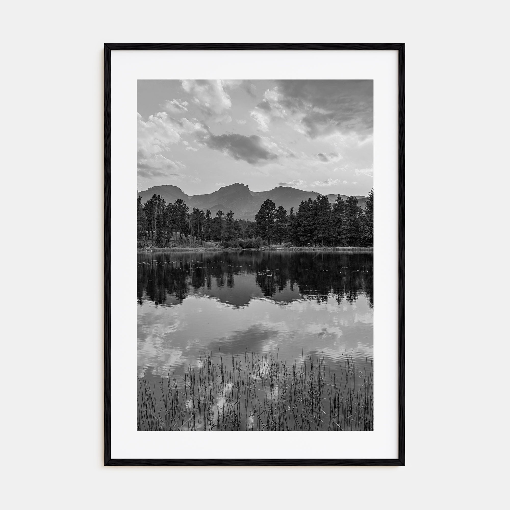 Colorado Photo B&W No 3 Poster
