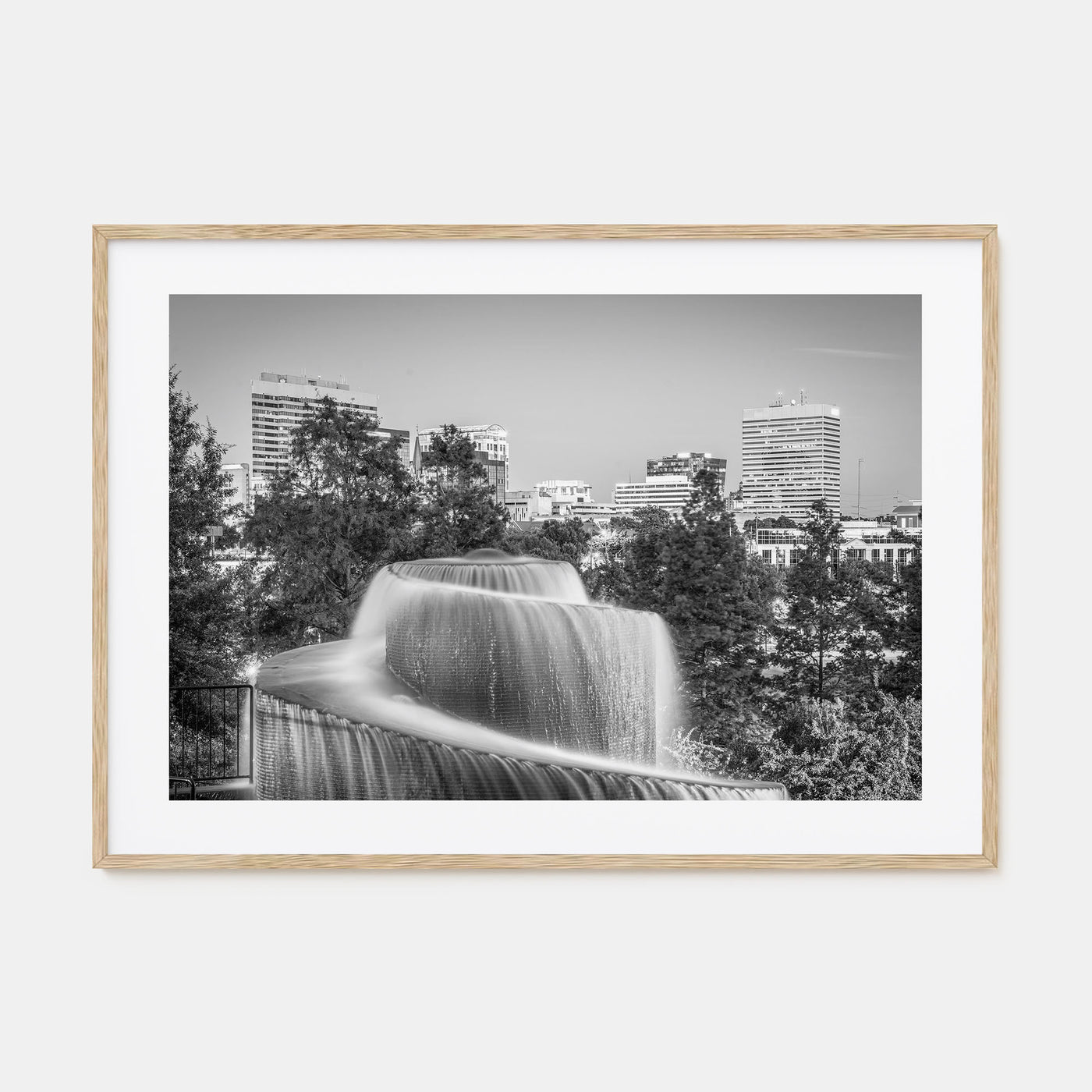 Columbia, South Carolina Landscape B&W Poster