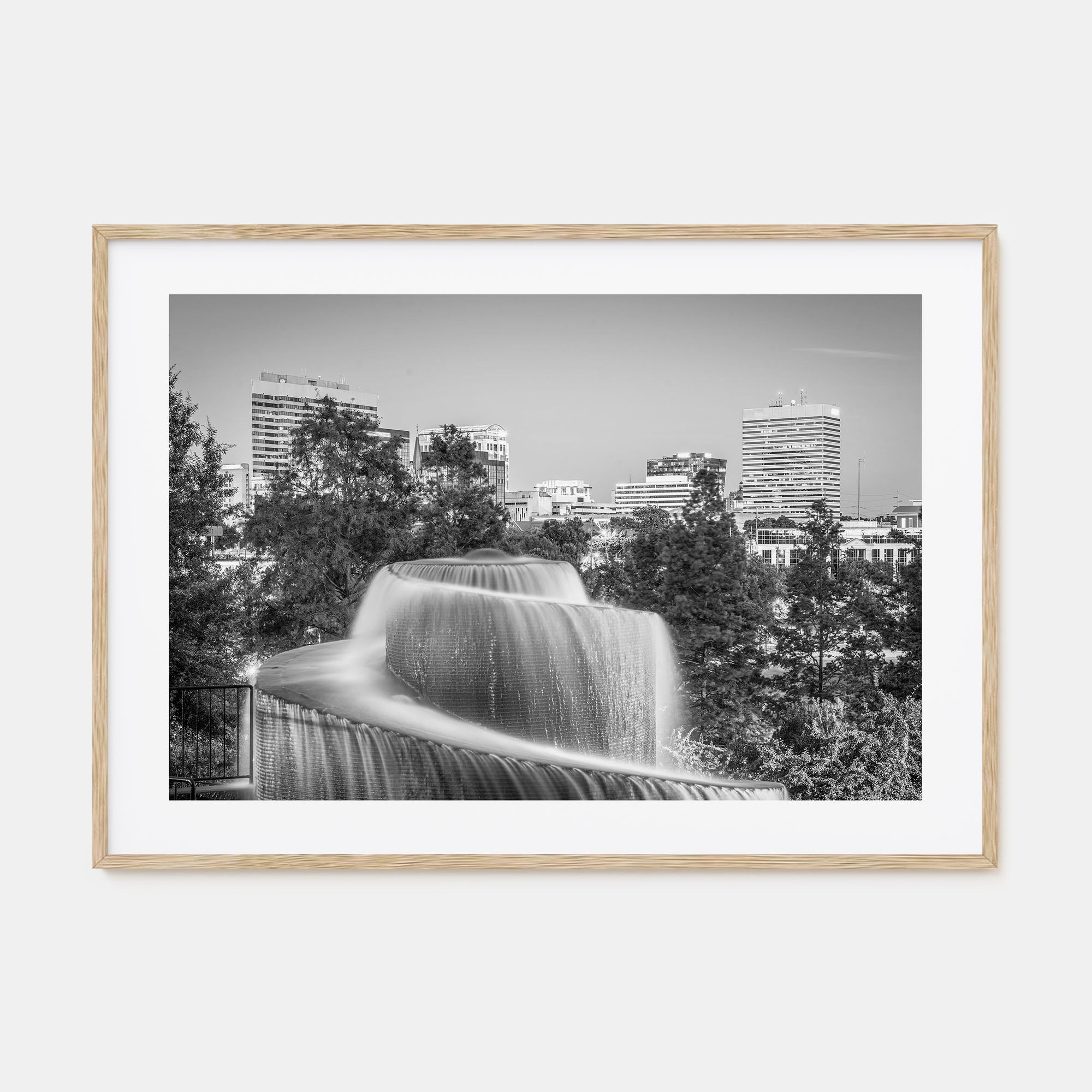 Columbia, South Carolina Landscape B&W Poster