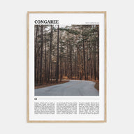 Congaree National Park Travel Color Poster