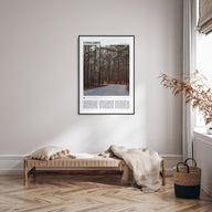 Congaree National Park Travel Color Poster