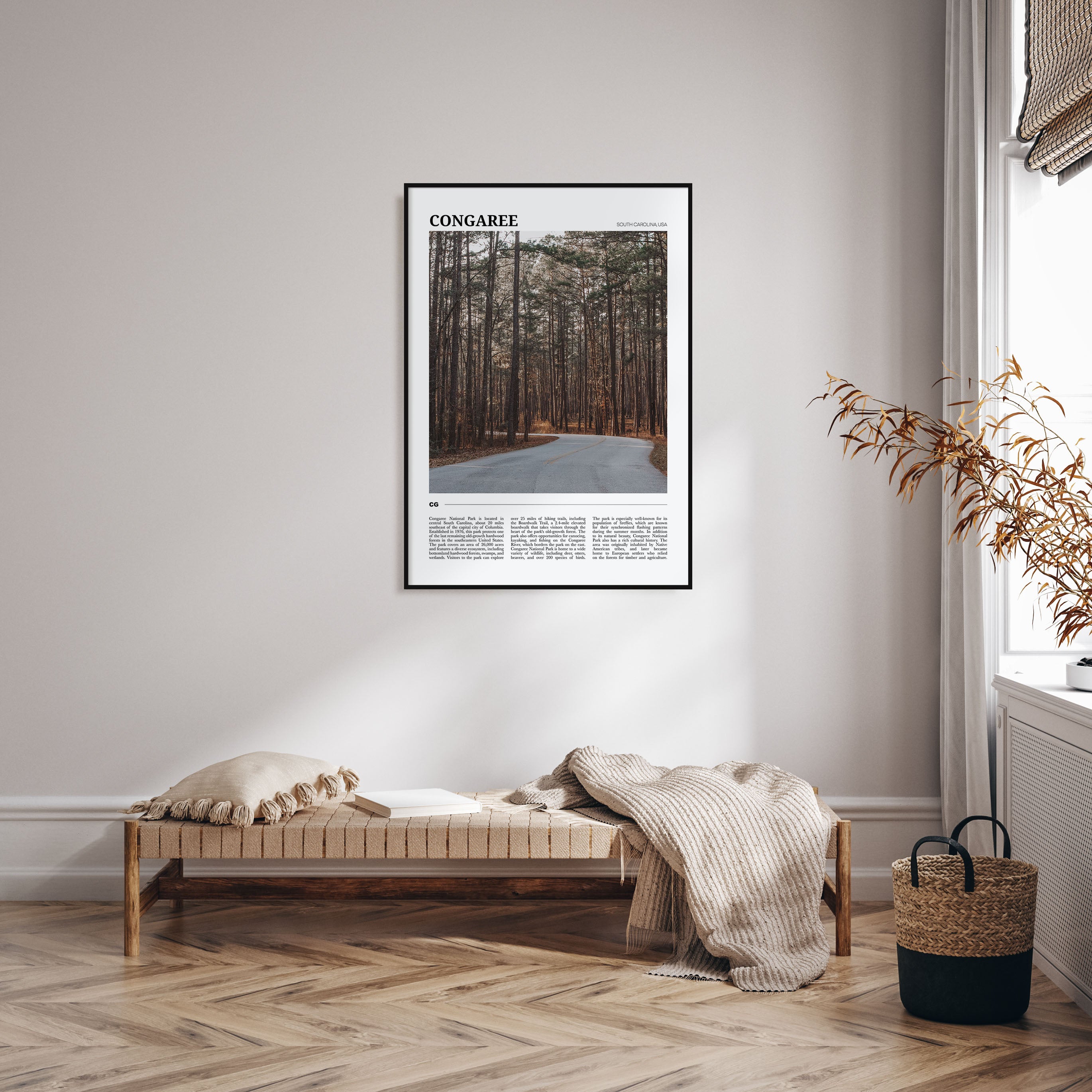 Congaree National Park Travel Color Poster