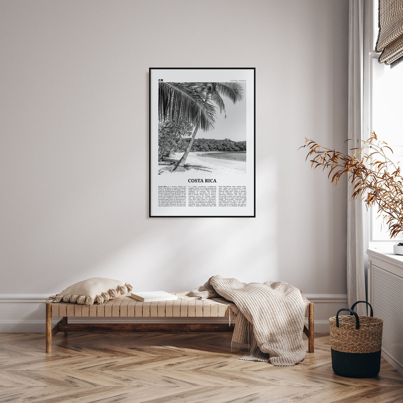 Costa Rica Travel B&W No 2 Poster