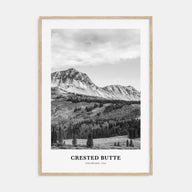 Crested Butte Portrait B&W Poster