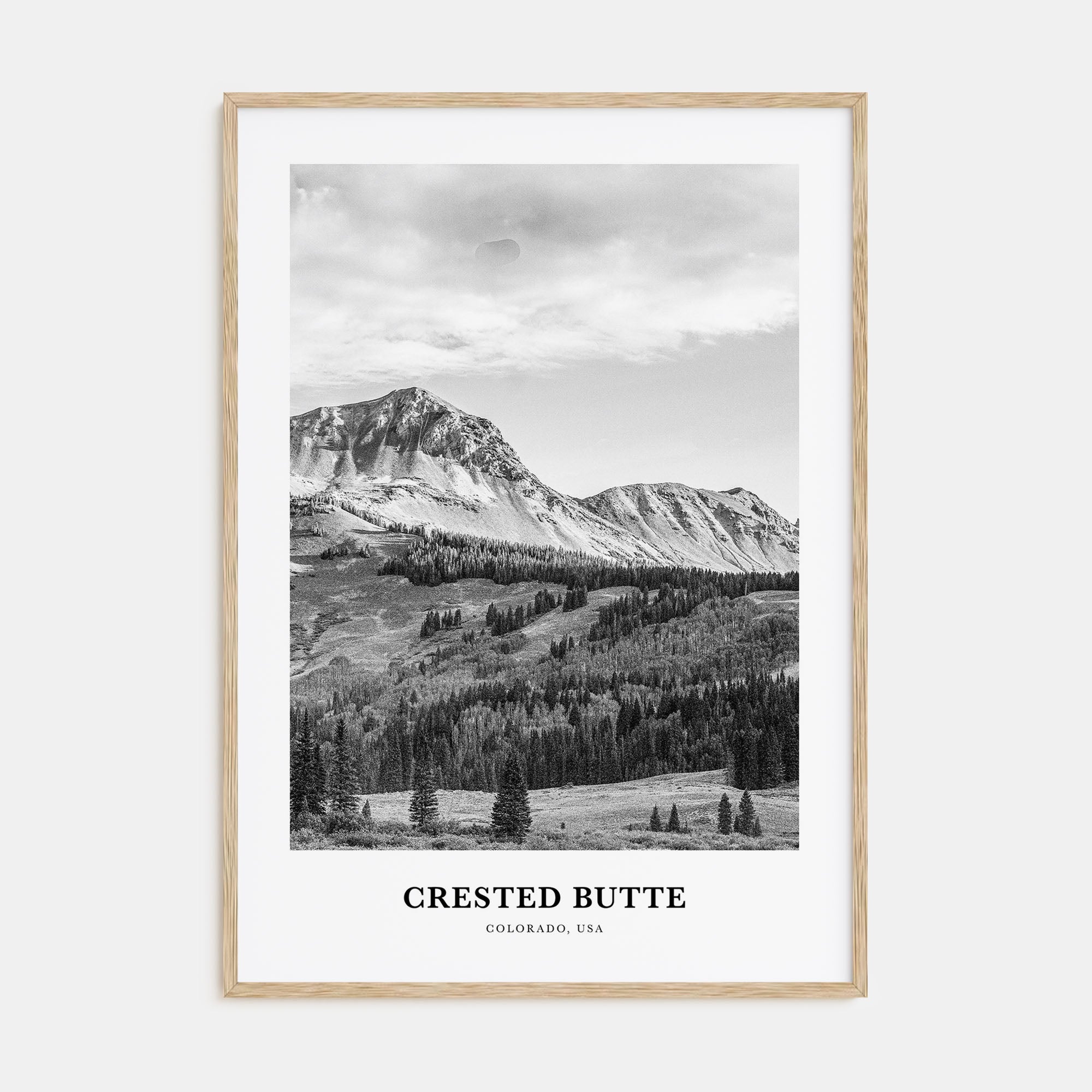 Crested Butte Portrait B&W Poster