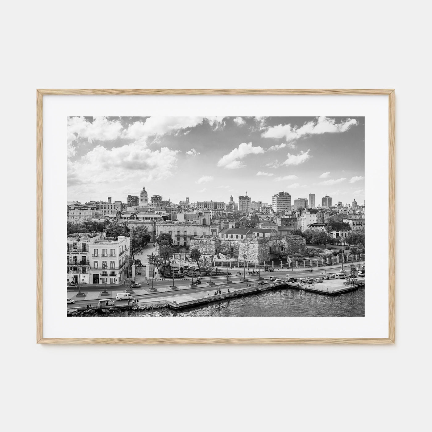 Cuba Landscape B&W Poster