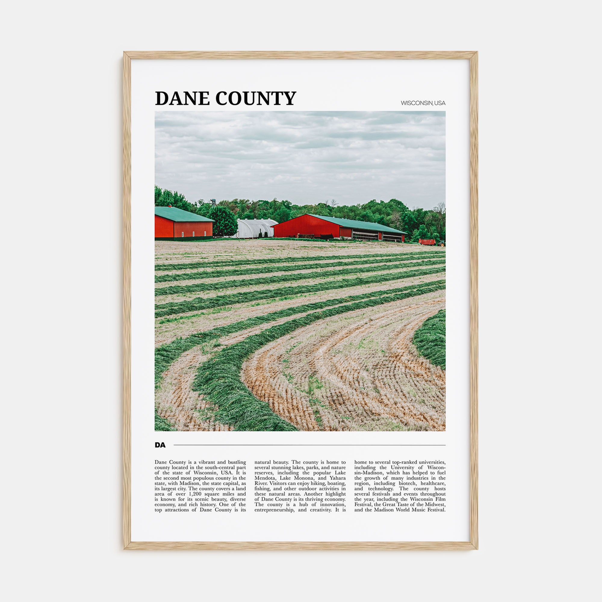 Dane County Travel Color Poster