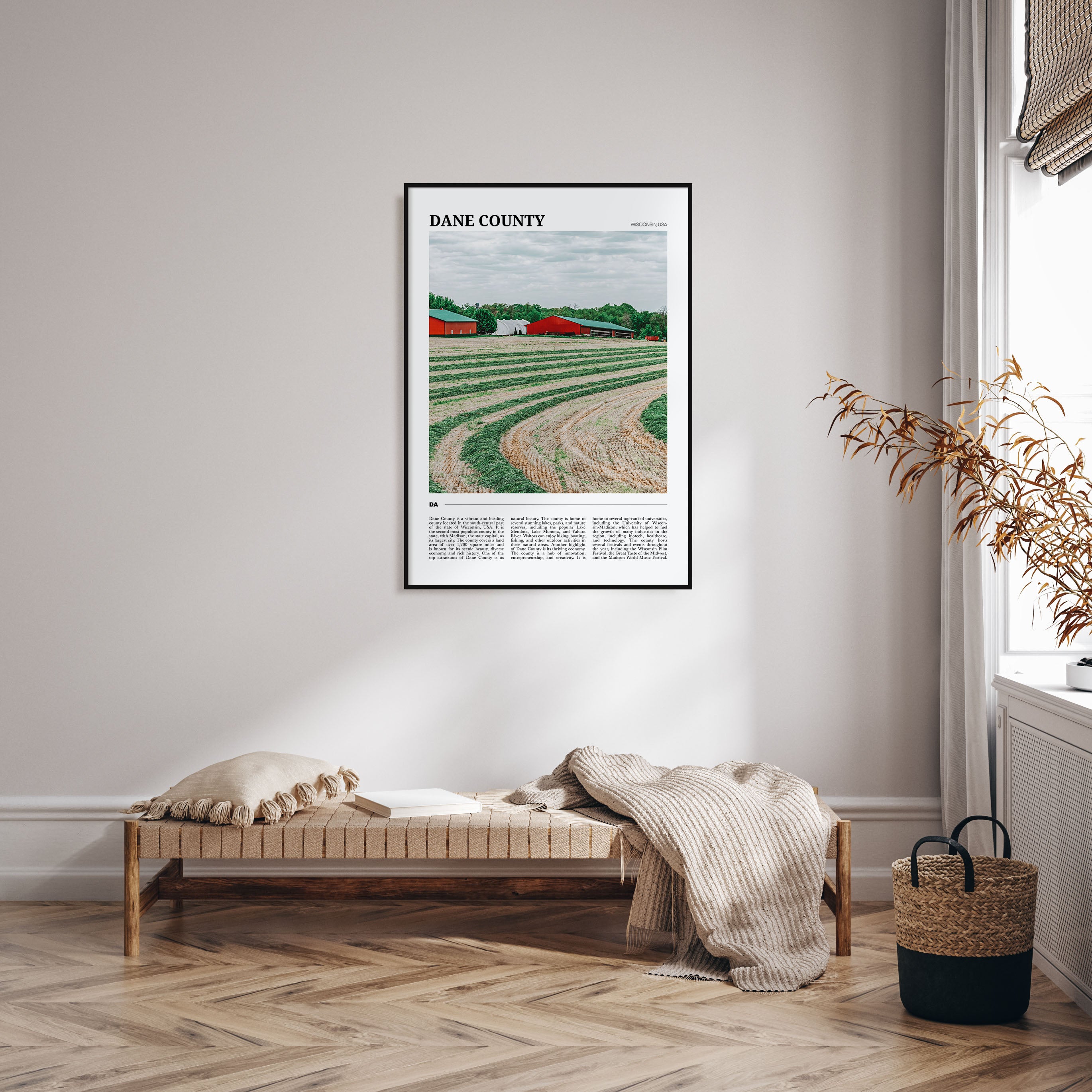Dane County Travel Color Poster